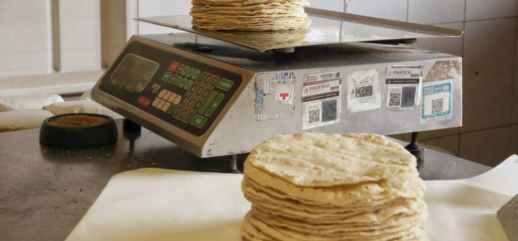 Industria de la tortilla está en crisis