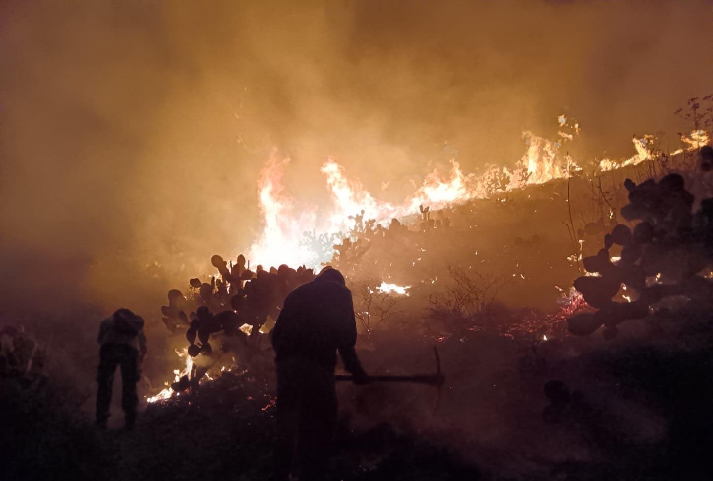 Zacatecas, entre los estados más golpeados por incendios forestales en 2026