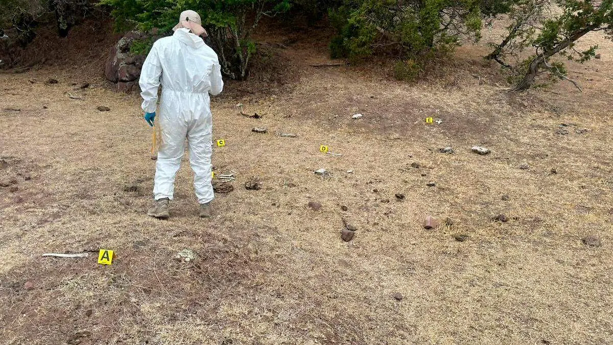 Hallan fosa clandestina en Jerez durante operativo de búsqueda