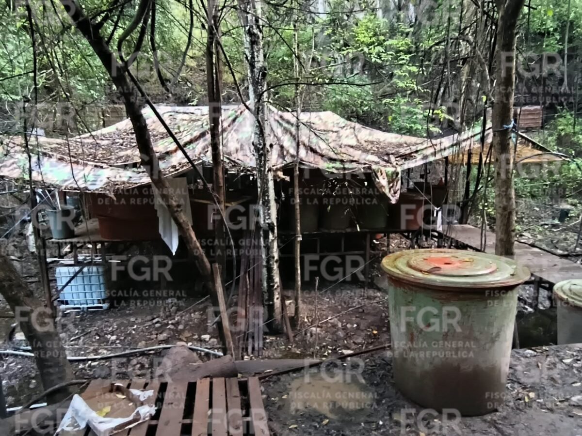 Detectan presunto laboratorio clandestino de drogas en Juchipila, Zacatecas